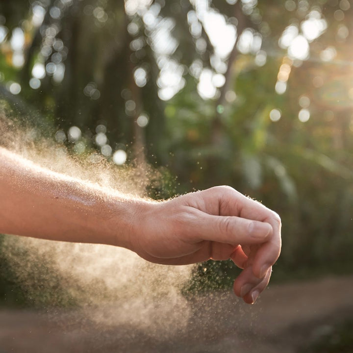 Zecken & Insektenschutz Mensch