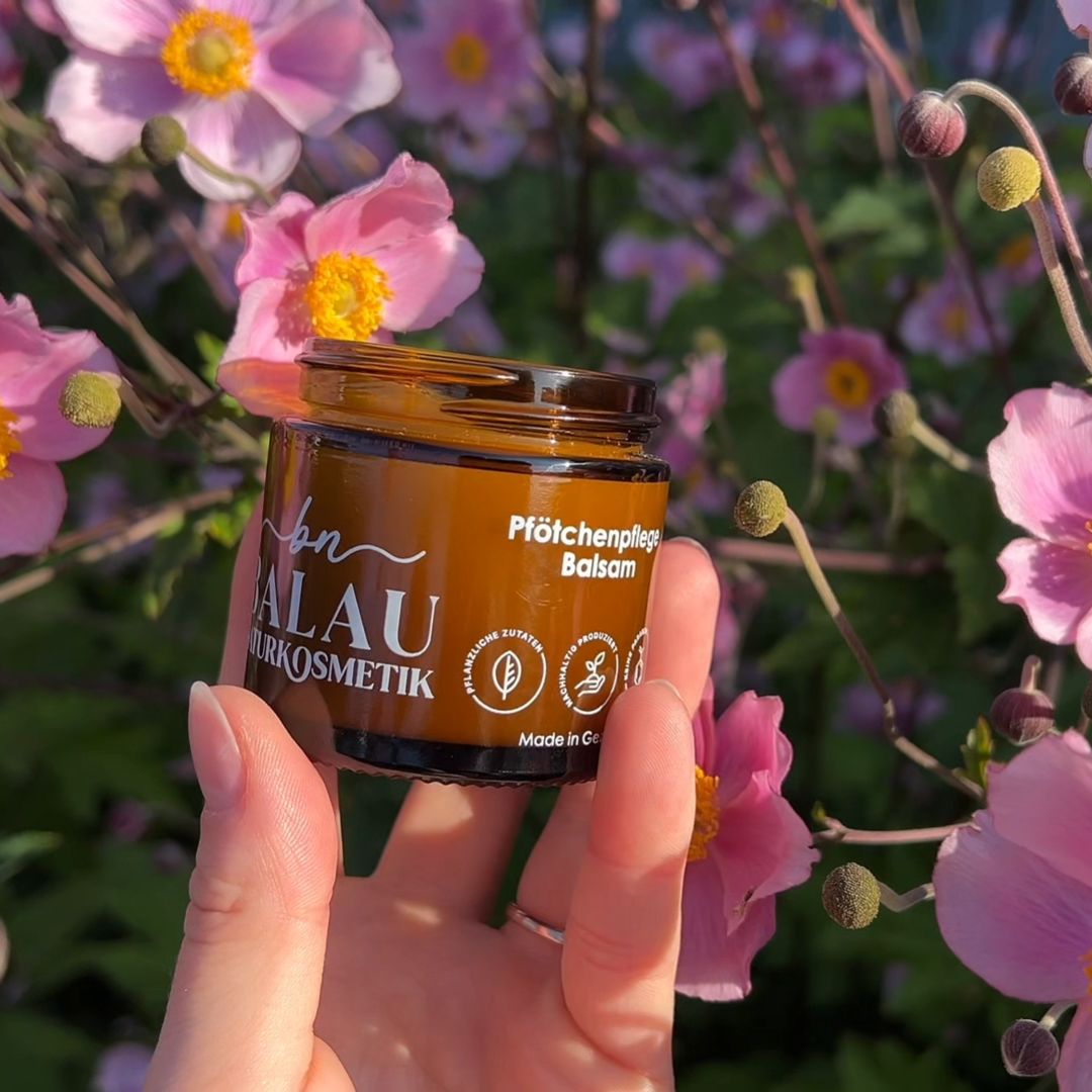 Balau Naturkosmetik Pfötchenpflege-Balsam – natürlich gepflegte Hundepfoten, Glasdose mit Balsam inmitten von Blüten