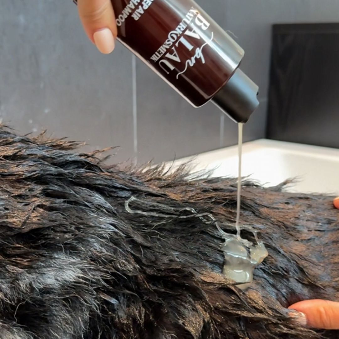 Anwendung des Balau Naturkosmetik Repair Hundeshampoos – Pflege wird direkt ins nasse Hundefell einmassiert für Reinigung und Regeneration