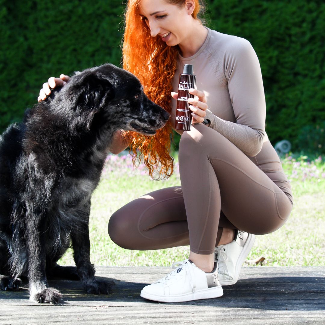 Balau Naturkosmetik Repair Hundeshampoo – natürliche Hundepflege, Produktanwendung mit Hund und Besitzerin im Freien