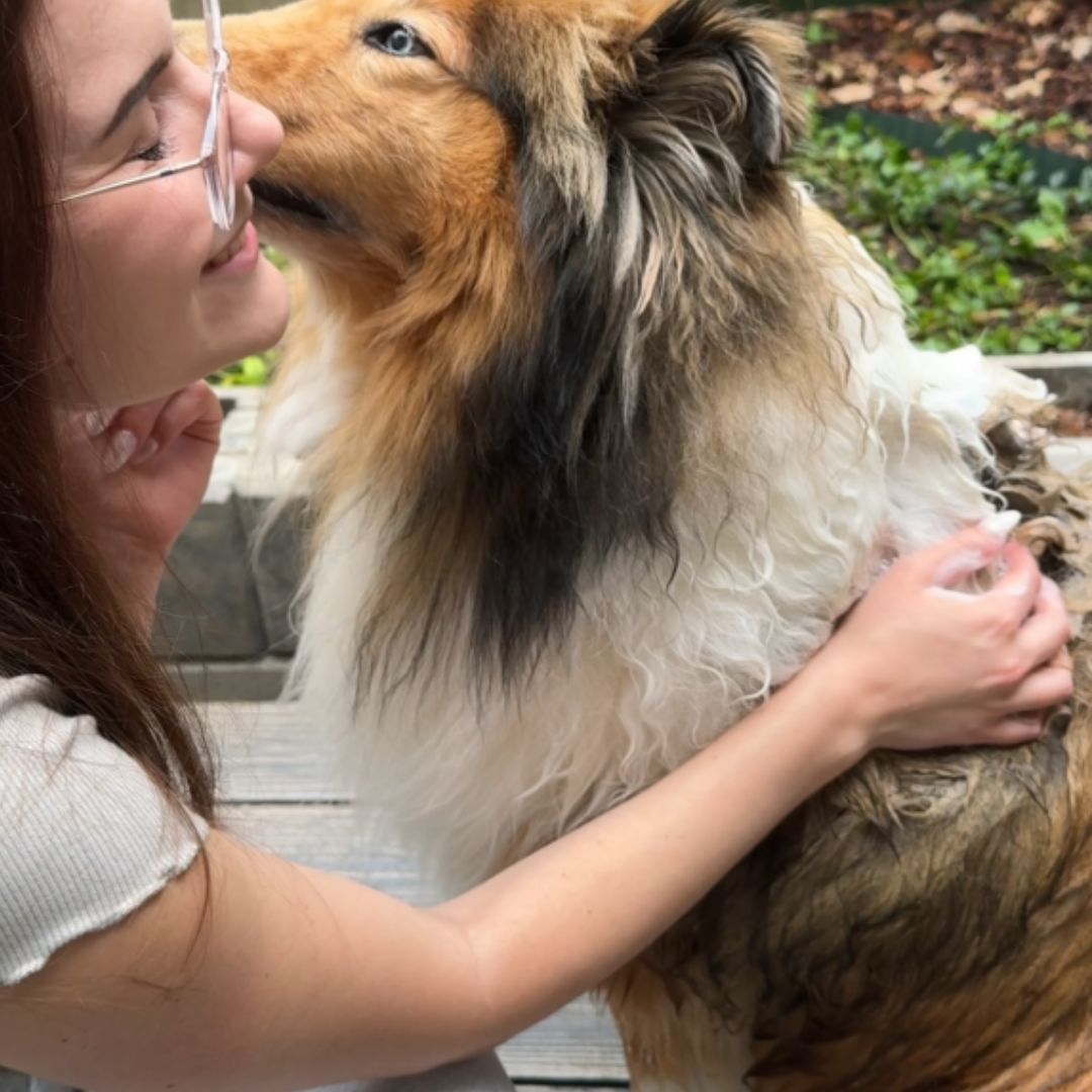 Hund wird liebevoll mit Balau Naturkosmetik Hundeshampoo gepflegt – natürliche Fellpflege für Glanz und Gesundheit